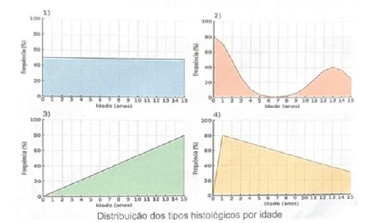 Imagem da questão — USP-RP 2026, questão 117